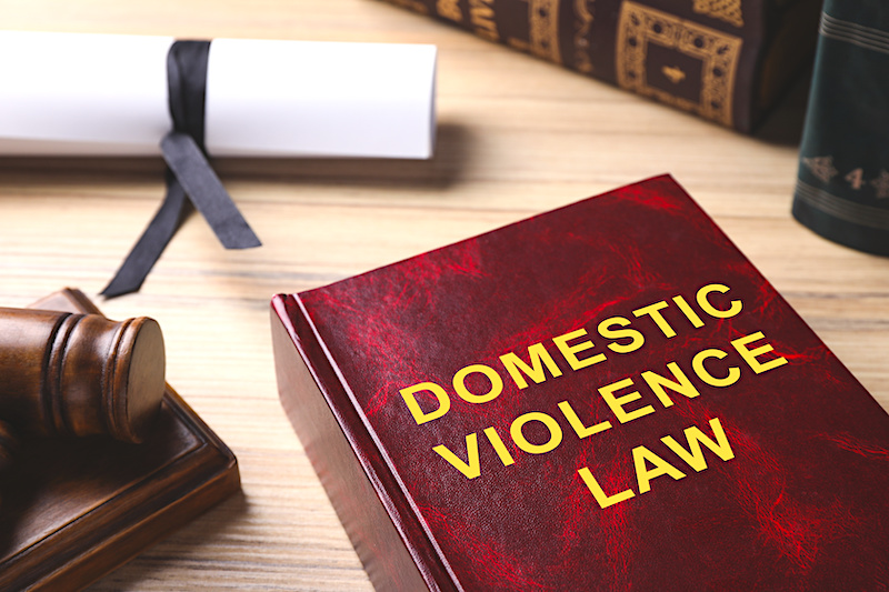 A lawbook that's entitled Domestic Violence Law.
